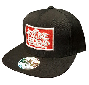Embroidered Patch Cap Black